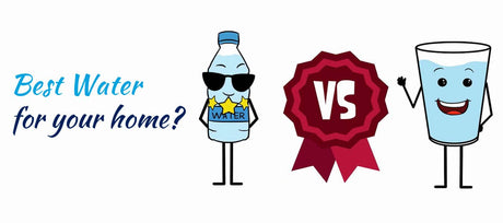 Bottled Water or Tap Water